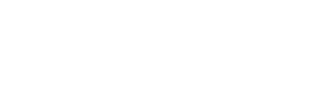 DMS & Dealer Website for Used Car Dealerships Selly Automotive CRM Logo 1